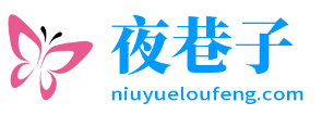 夜巷子楼凤